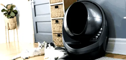 litter
