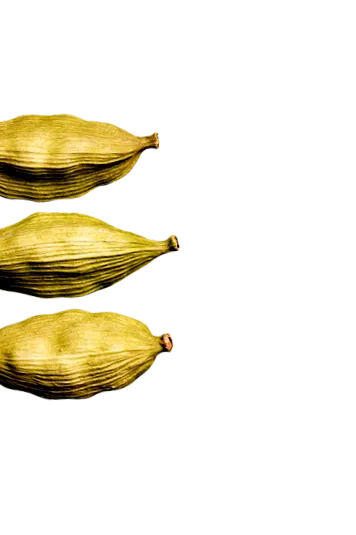spices