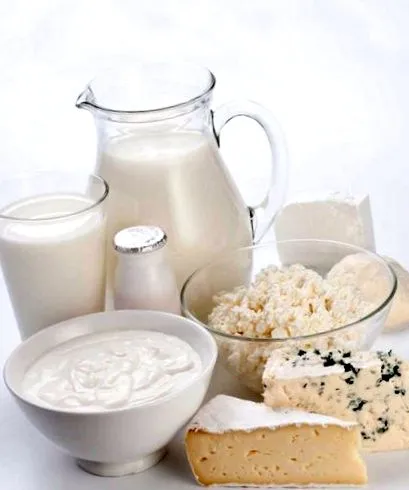 kalória kefir