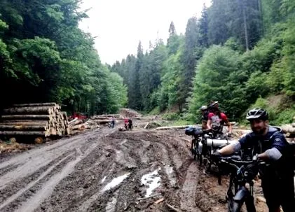 сімома сімома