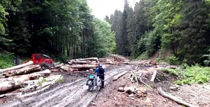 каміно каміно