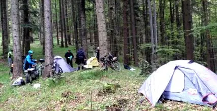 каміно каміно