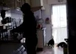 луѓе