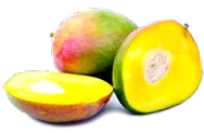 afrikai