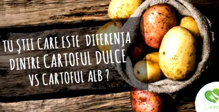 наспроти