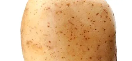 компир tuberosum