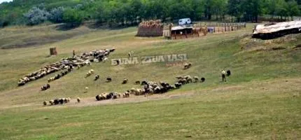 неверојатна