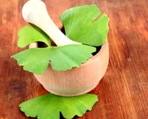 Biloba viteldíj levéltea