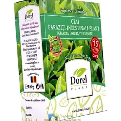 dorel