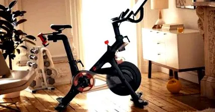 fitnesz fitnesz