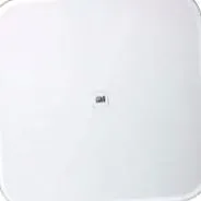 intelligens