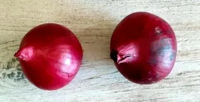 egészségére