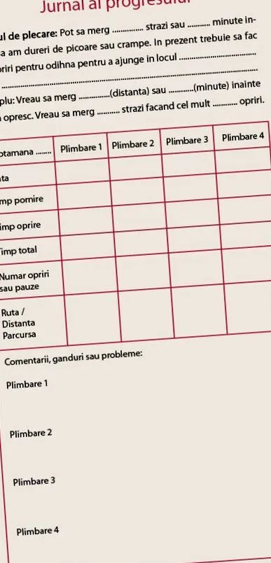 temesvári