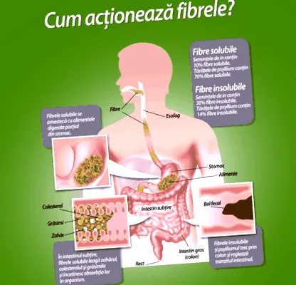 colonhelp