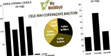 kávéscsészéből