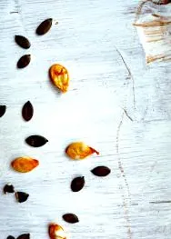 ganache albă