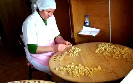 altă tedeinturkey