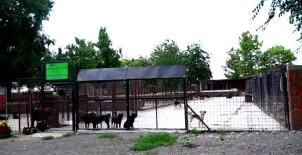 приюта животновъдство искаме