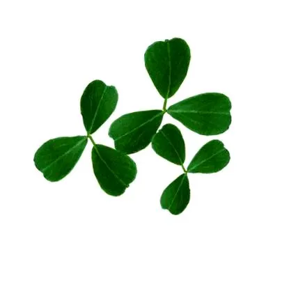 krém