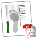 CSID folyik
