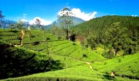 lanka
