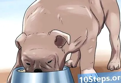 segíteni