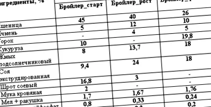 brojlercsirkék