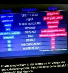 vastagbelet
