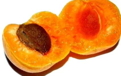 nőhet kajszibarack