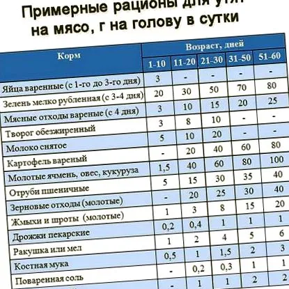 умовах
