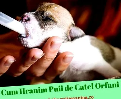 храним ръководство