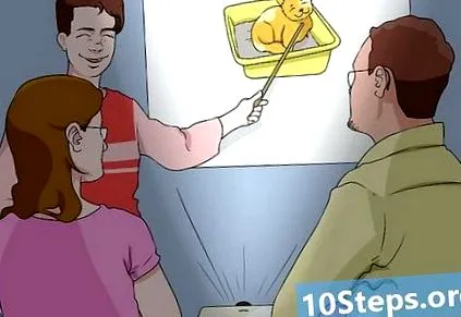 моите