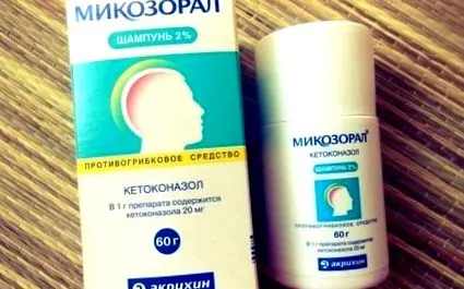 брзо дома