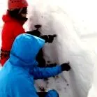 водичи курсеви