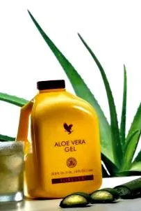 aloe vera