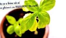kúra egészségügyi