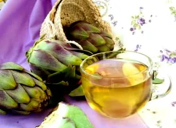 црви Чајот артишок