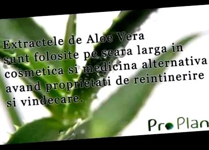 méregtelenítő