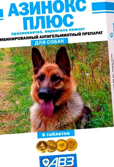 anthelmintikus bélféregtelenítés