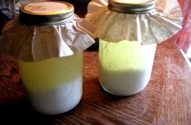 mantea