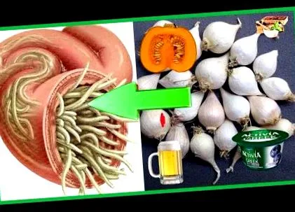 detoxase
