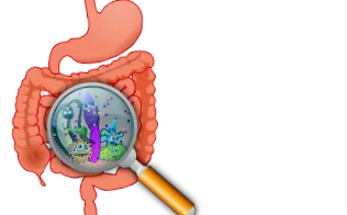 вътрешно почистване