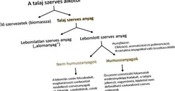 градина всяка