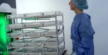 Парно електрическо Парно електрическо отопление