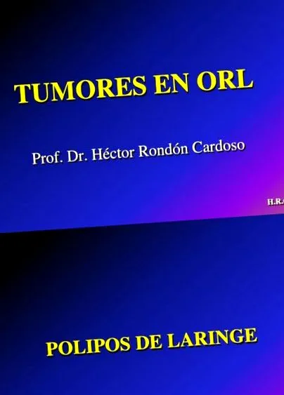 it-ro dictionar