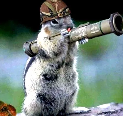 chudnutí