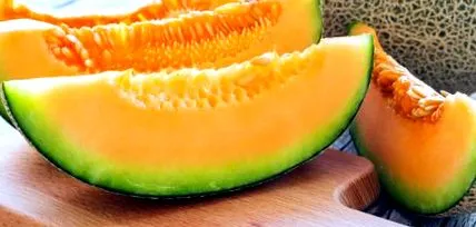 recept recept