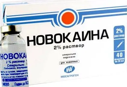 dimexid ízületi