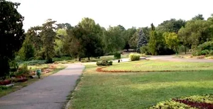 város
