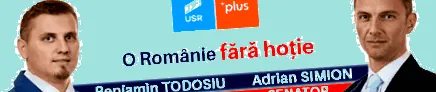 кошарка дивизија
